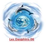 LES DAUPHINS 06